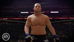 Скриншот к игре EA Sports MMA