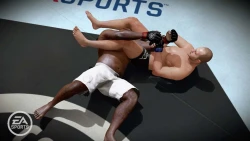 Скриншот к игре EA Sports MMA