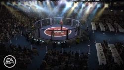 Скриншот к игре EA Sports MMA