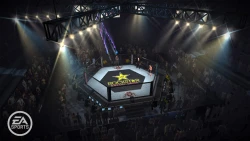 Скриншот к игре EA Sports MMA