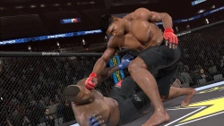 Скриншот к игре EA Sports MMA
