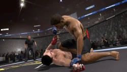 Скриншот к игре EA Sports MMA