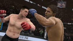 Скриншот к игре EA Sports MMA