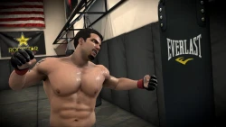 Скриншот к игре EA Sports MMA