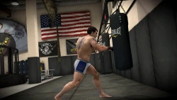 Скриншот к игре EA Sports MMA