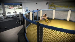 Скриншот к игре EA Sports MMA