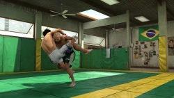 Скриншот к игре EA Sports MMA