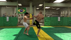 Скриншот к игре EA Sports MMA