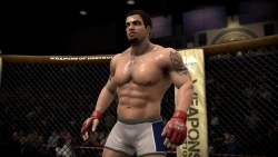 Скриншот к игре EA Sports MMA