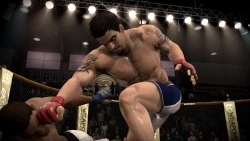 Скриншот к игре EA Sports MMA