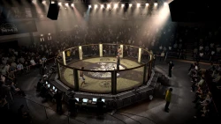 Скриншот к игре EA Sports MMA
