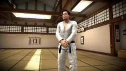 Скриншот к игре EA Sports MMA