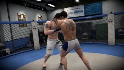 Скриншот к игре EA Sports MMA