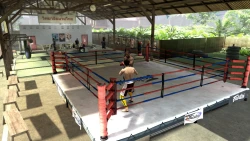 Скриншот к игре EA Sports MMA