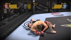 Скриншот к игре EA Sports MMA