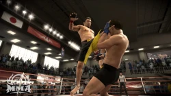Скриншот к игре EA Sports MMA