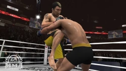 Скриншот к игре EA Sports MMA
