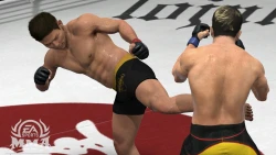Скриншот к игре EA Sports MMA