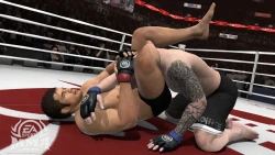 Скриншот к игре EA Sports MMA