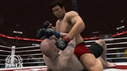 Скриншот к игре EA Sports MMA