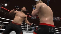 Скриншот к игре EA Sports MMA
