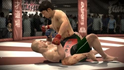 Скриншот к игре EA Sports MMA