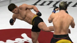 Скриншот к игре EA Sports MMA