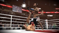 Скриншот к игре EA Sports MMA