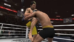 Скриншот к игре EA Sports MMA