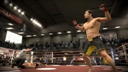 Скриншот к игре EA Sports MMA