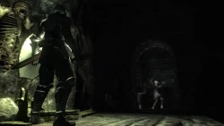 Скриншот к игре Demon's Souls