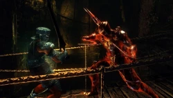 Скриншот к игре Demon's Souls