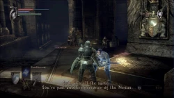 Скриншот к игре Demon's Souls