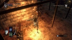 Скриншот к игре Demon's Souls
