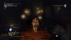 Скриншот к игре Demon's Souls