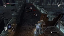 Скриншот к игре Demon's Souls