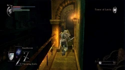 Скриншот к игре Demon's Souls