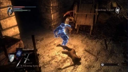 Скриншот к игре Demon's Souls