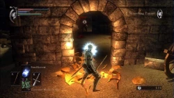 Скриншот к игре Demon's Souls