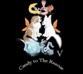 Candy World 5: Candy To The Rescue