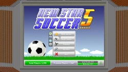 Скриншот к игре New Star Soccer 5