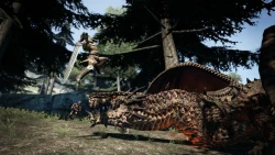 Скриншот к игре Dragon's Dogma