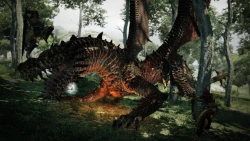 Скриншот к игре Dragon's Dogma