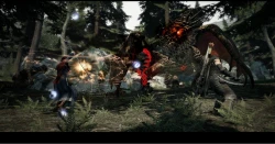 Скриншот к игре Dragon's Dogma
