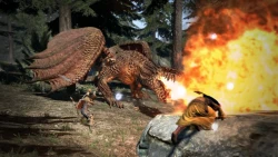 Скриншот к игре Dragon's Dogma