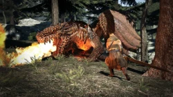 Скриншот к игре Dragon's Dogma
