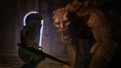 Скриншот к игре Dragon's Dogma