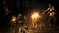 Скриншот к игре Dragon's Dogma