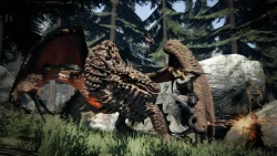 Скриншот к игре Dragon's Dogma