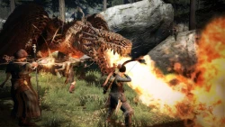 Скриншот к игре Dragon's Dogma